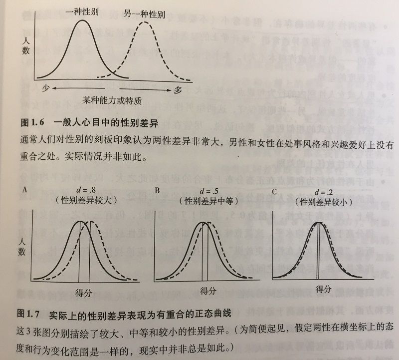 描述