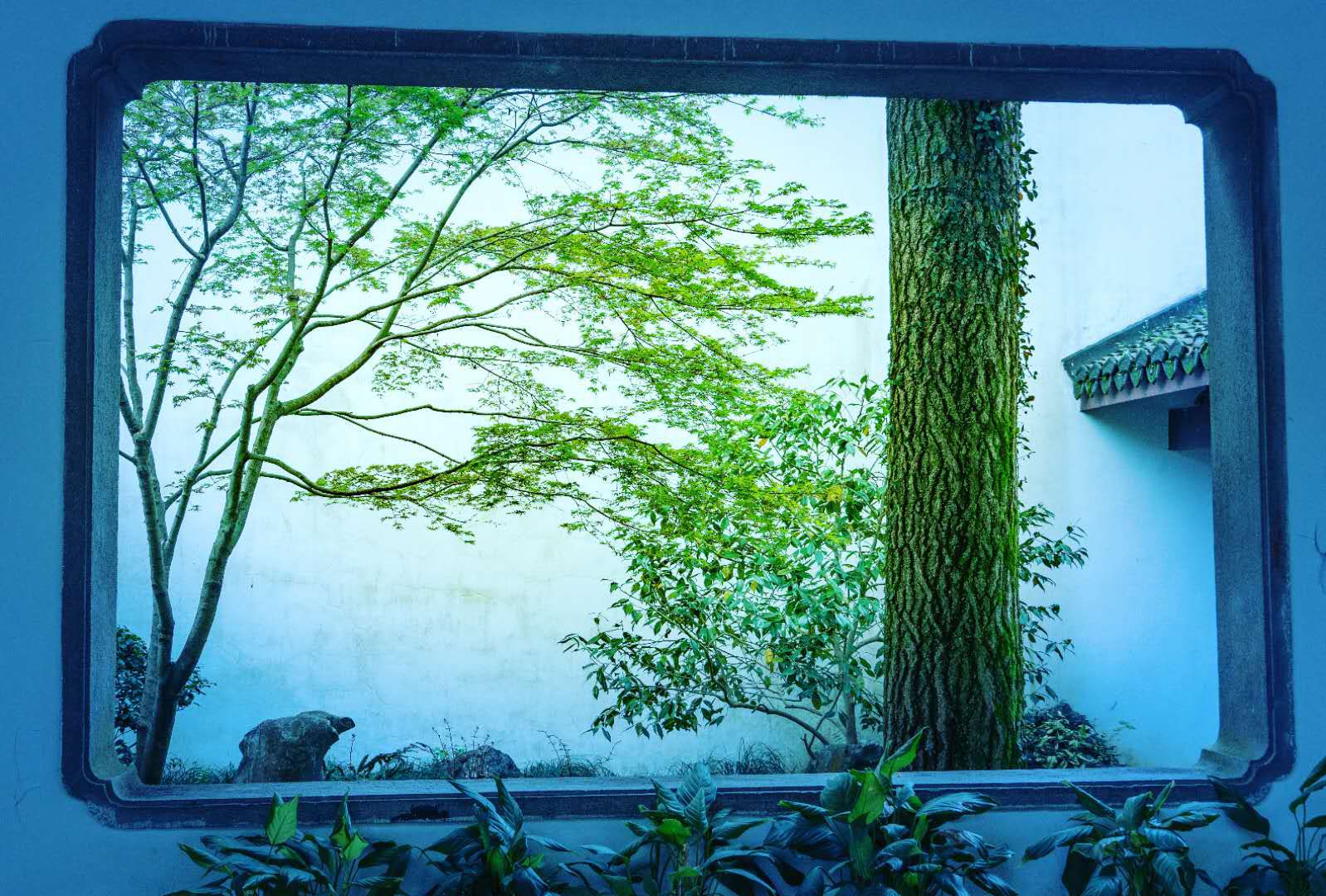 描述